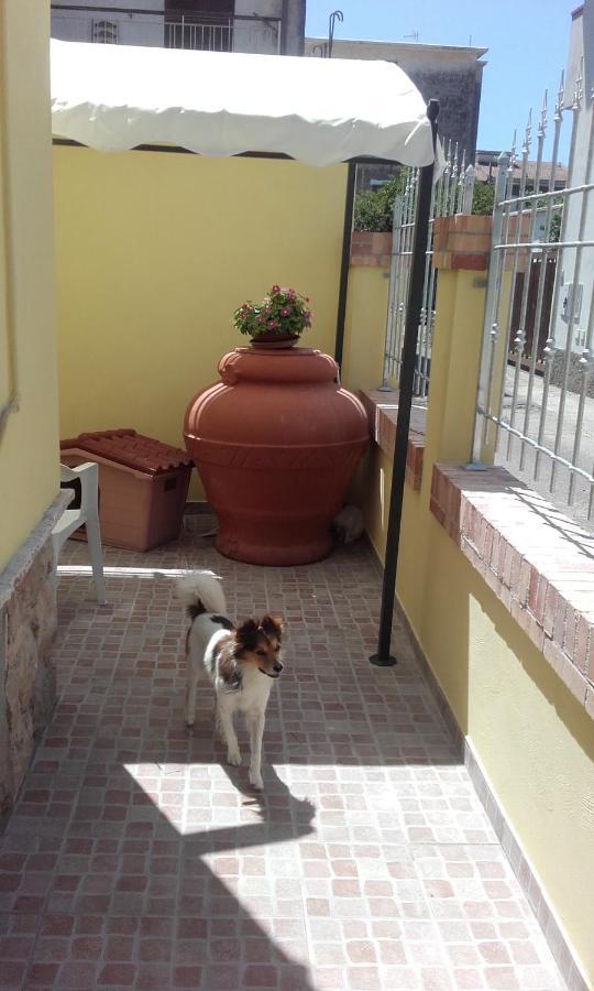 B&B A Casa Di Antonella 斯考里 外观 照片
